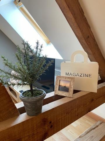 Spacieux T3 Coeur De Ville 생발레리앙코 외부 사진